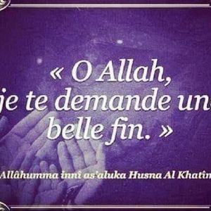 Meet your Posher, Hawa